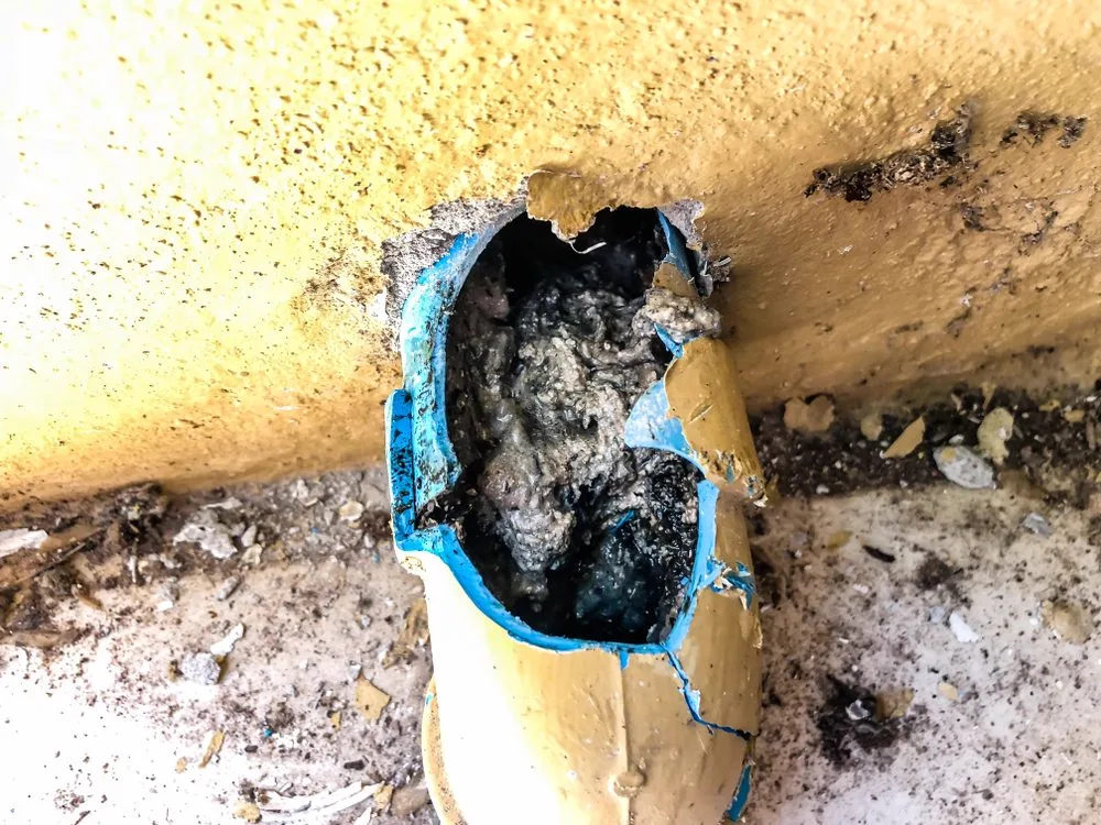 A drain pipe broken open to reveal thick grease and sludge build-up inside