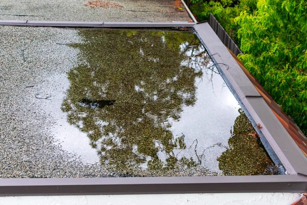 Surface water pooling on paving where a spoon drain is needed