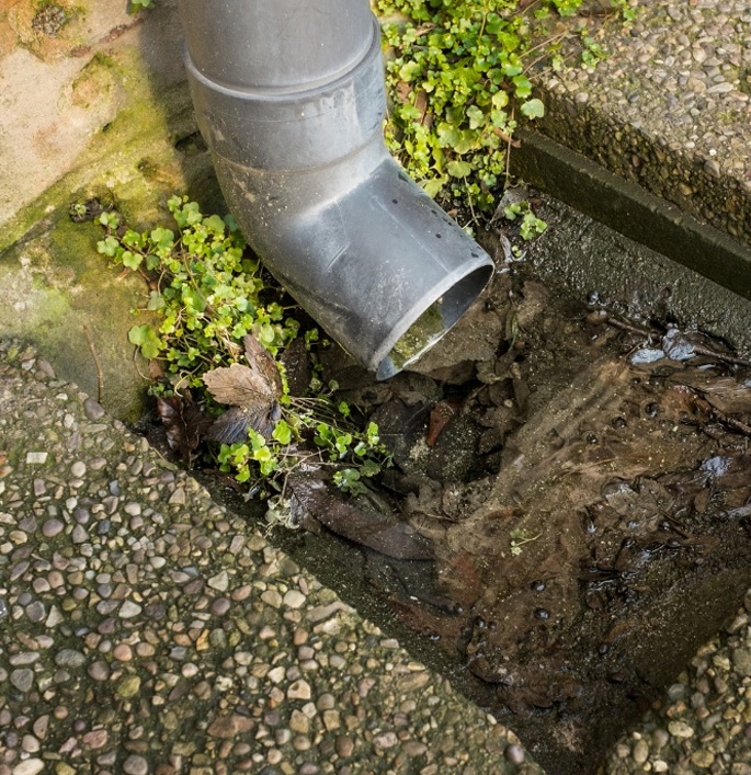 drain blockage plumber